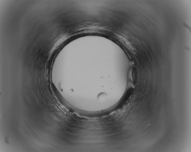 X0000095111164200801041153