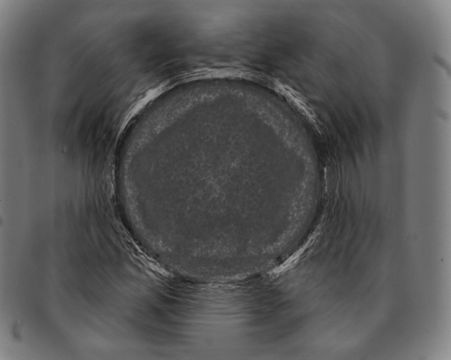X0000095111165200801041153