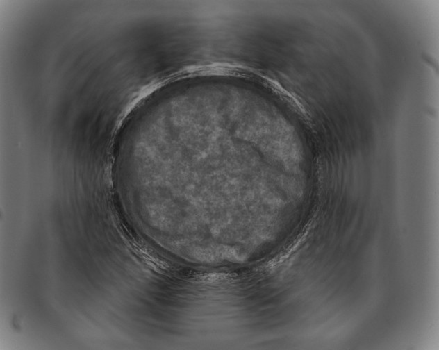 X0000095111166200801041153