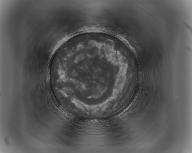 X0000095111167200801041153
