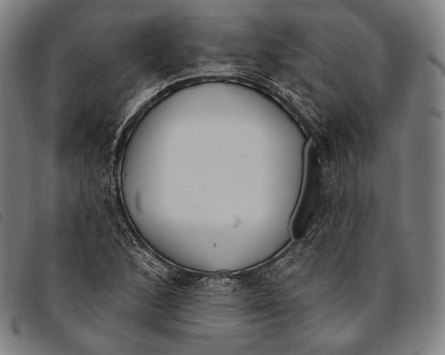 X0000095111168200801041153