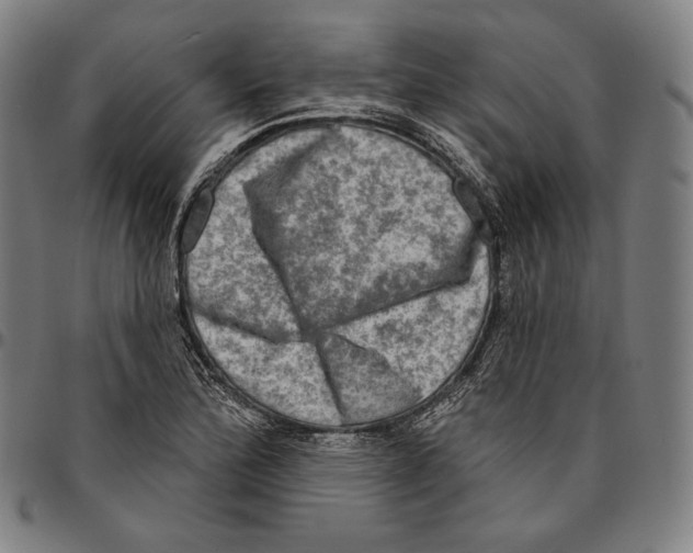 X0000095111172200801041153