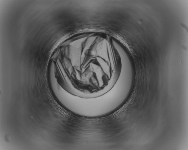 X0000095111173200801041153