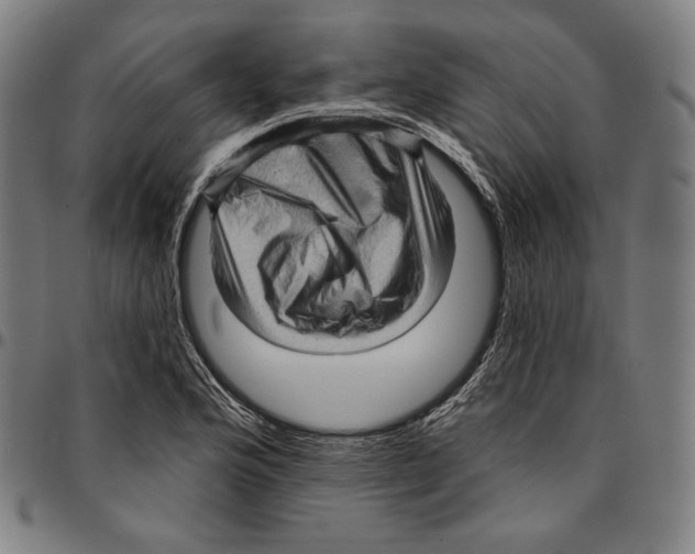 X0000095111176200801041153