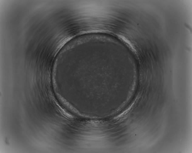 X0000095111177200801041153