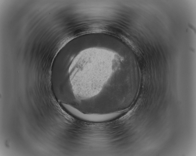 X0000095111178200801041153