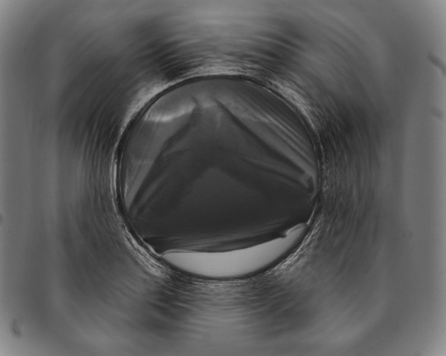 X0000095111179200801041153