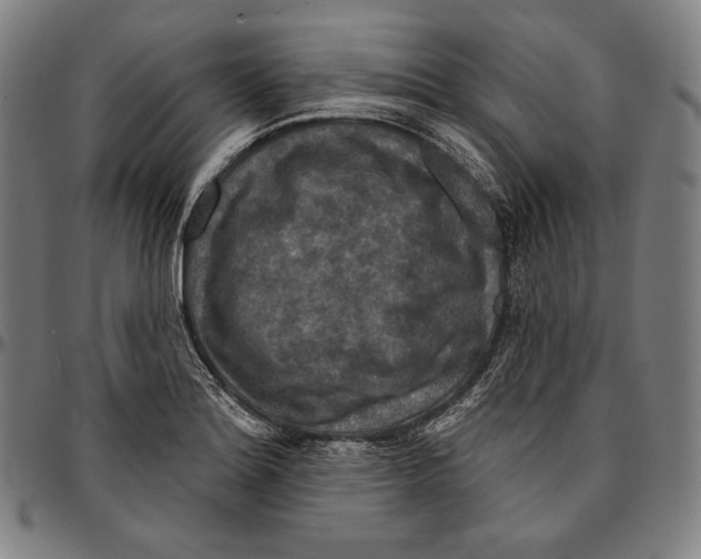 X0000095111180200801041153
