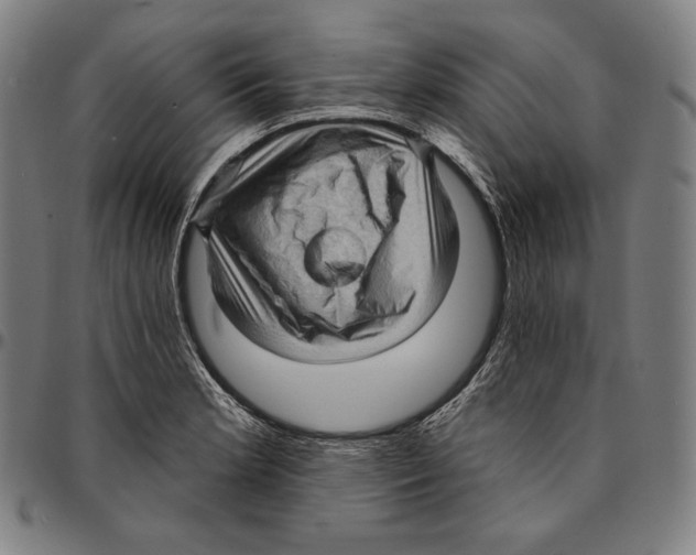 X0000095111181200801041153