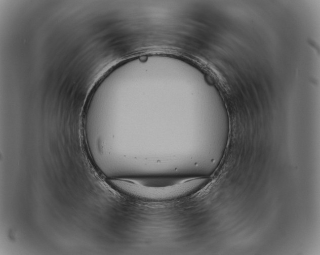 X0000095111182200801041153