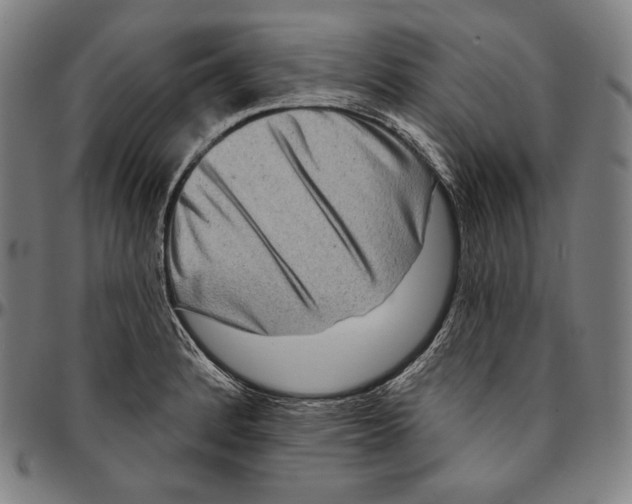 X0000095111184200801041153