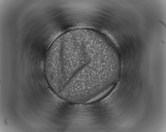 X0000095111185200801041153