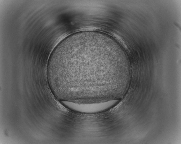X0000095111186200801041153