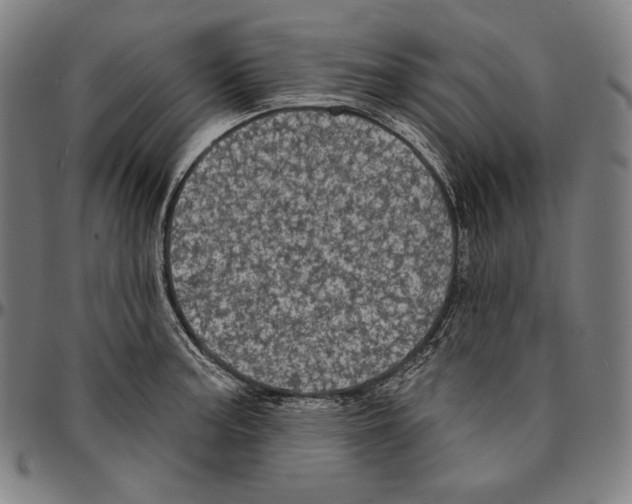X0000095111187200801041153