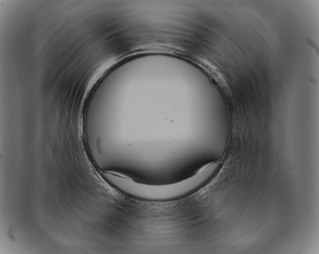 X0000095111188200801041153
