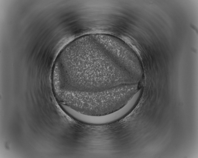 X0000095111189200801041153