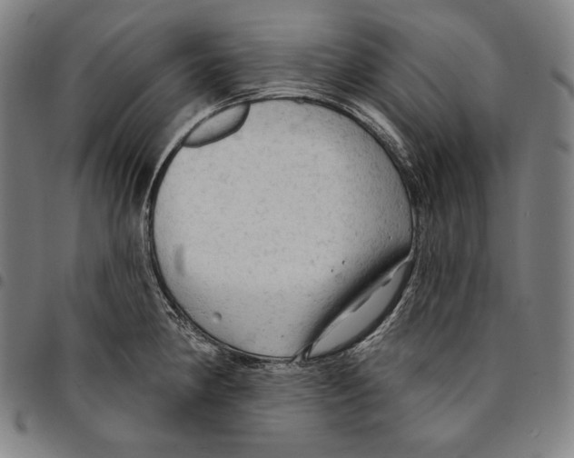 X0000095111190200801041153