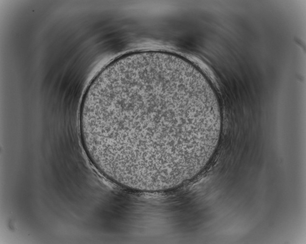 X0000095111191200801041153