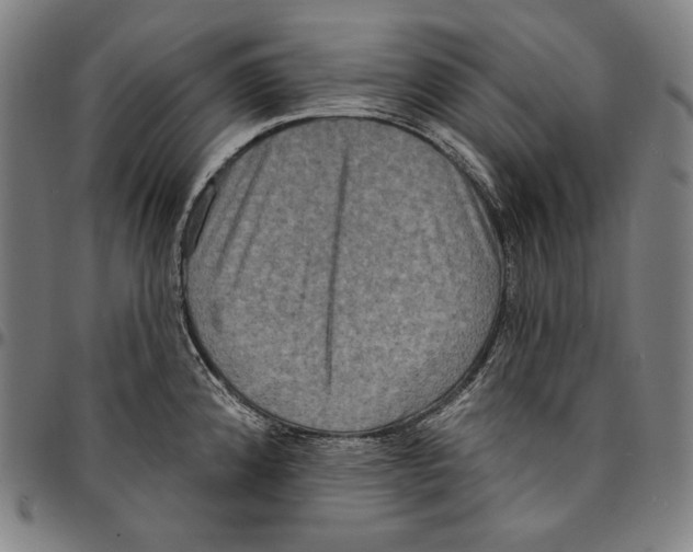 X0000095111192200801041153