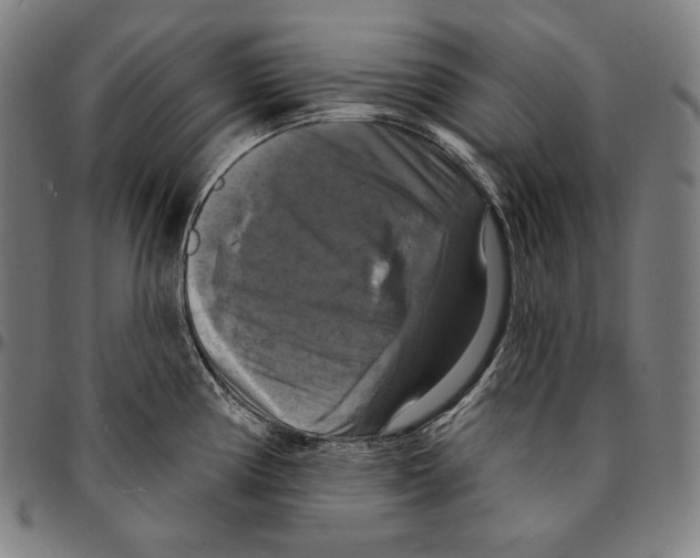 X0000095111194200801041153