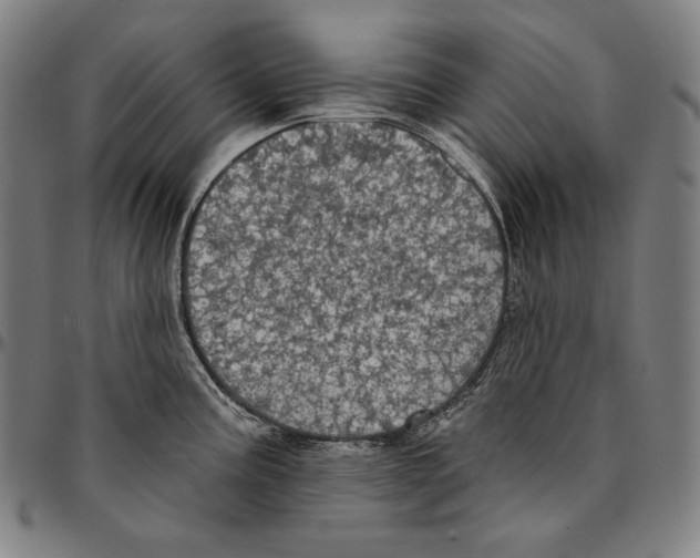 X0000095111195200801041153