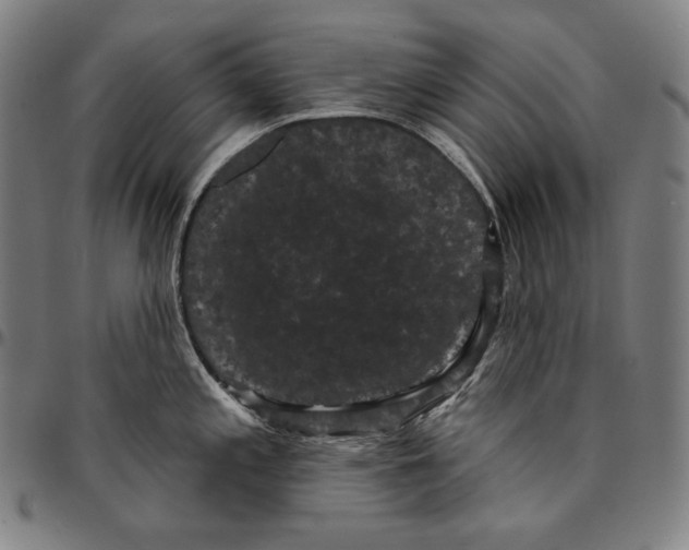 X0000095111197200801041153
