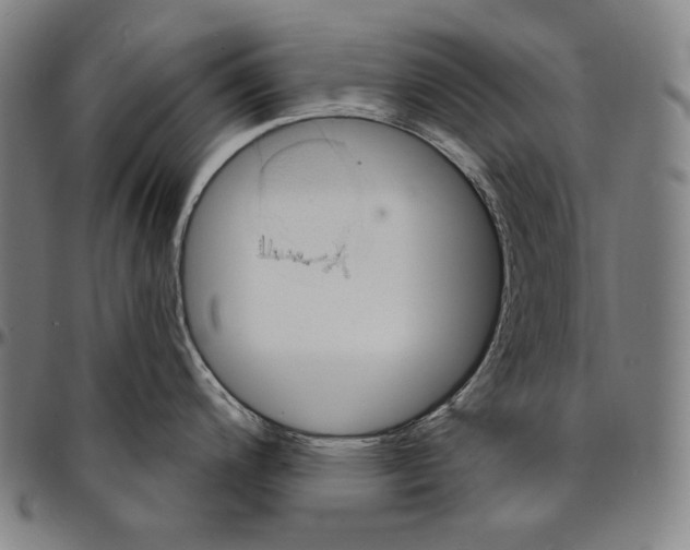 X0000095111200200801041153