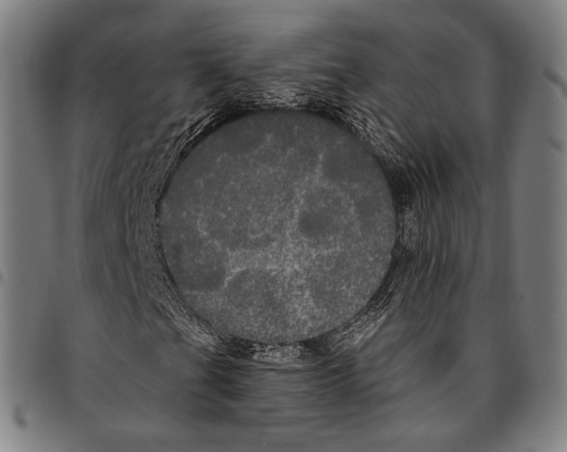 X0000095111201200801041152