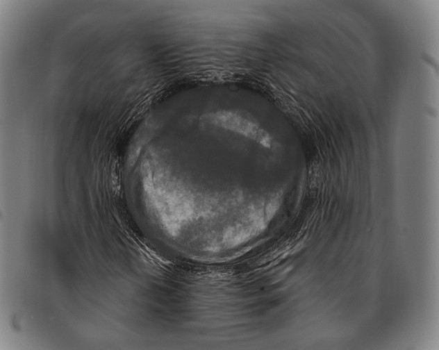 X0000095111202200801041152