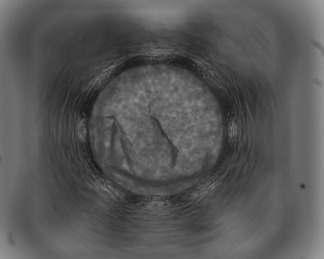 X0000095111204200801041152