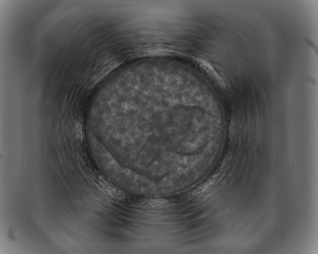 X0000095111209200801041152