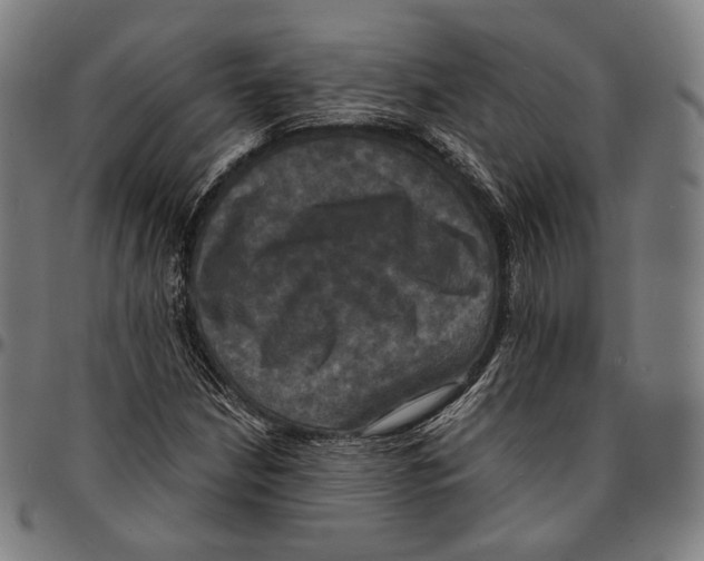 X0000095111210200801041152