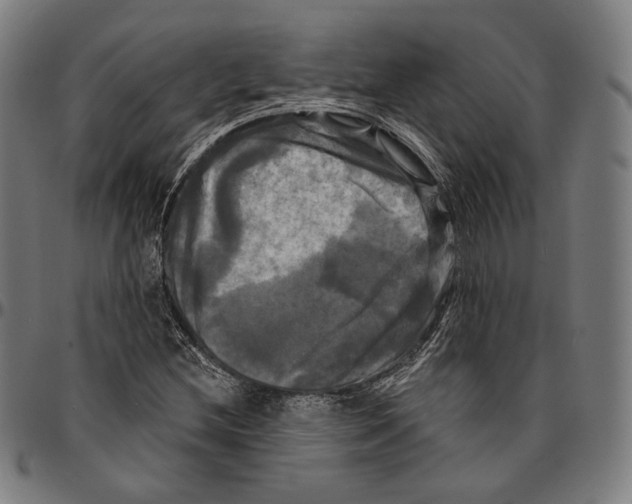 X0000095111212200801041152