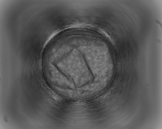X0000095111216200801041152