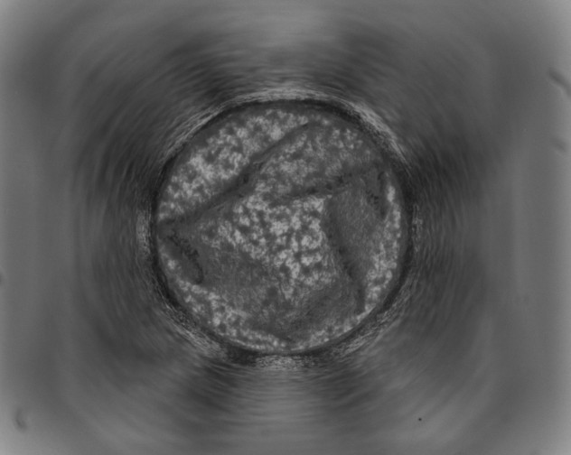 X0000095111217200801041152