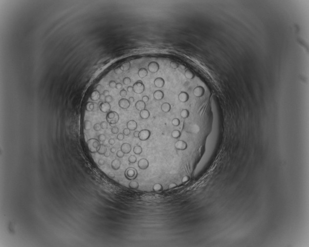 X0000095111220200801041153