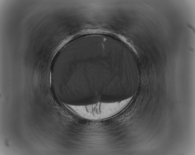 X0000095111221200801041153