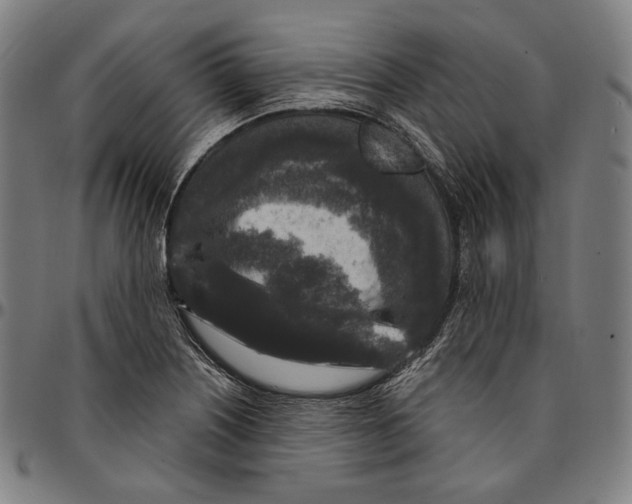 X0000095111226200801041153