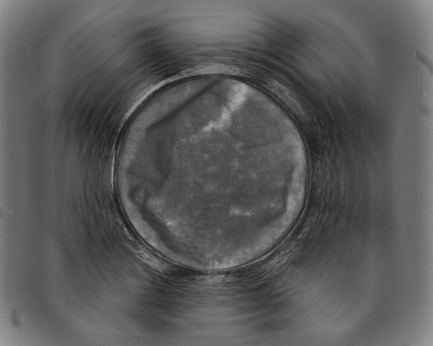X0000095111228200801041153