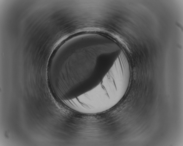 X0000095111229200801041153
