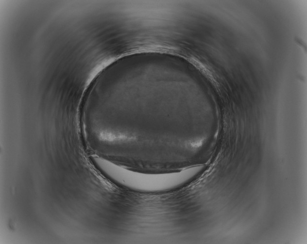 X0000095111230200801041153