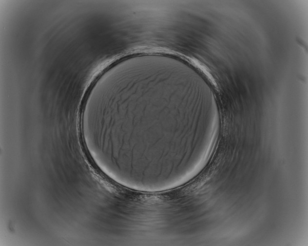 X0000095111231200801041153