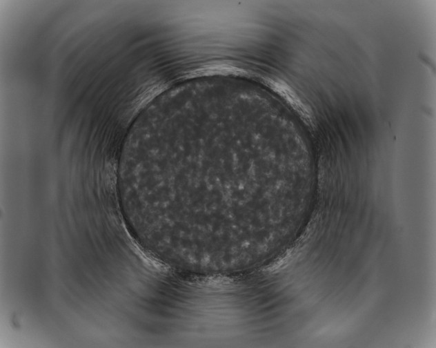 X0000095111233200801041153