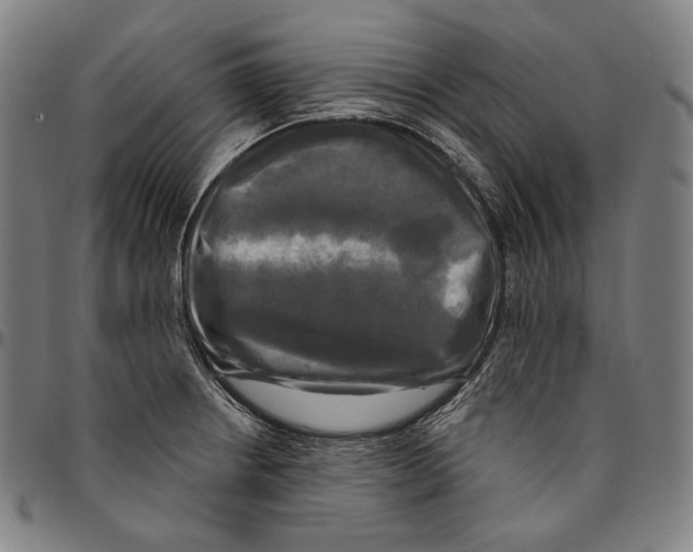 X0000095111234200801041153