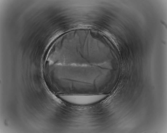 X0000095111235200801041153
