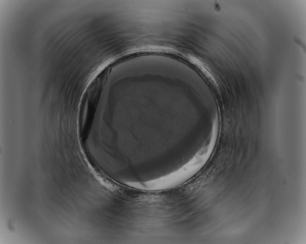 X0000095111237200801041153