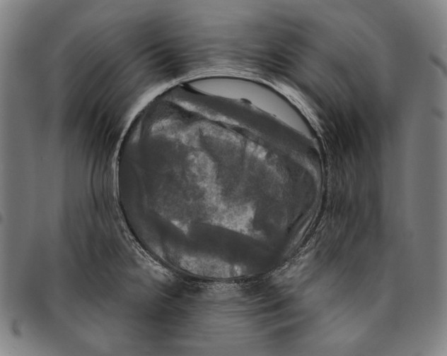 X0000095111238200801041153