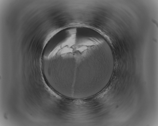 X0000095111239200801041153