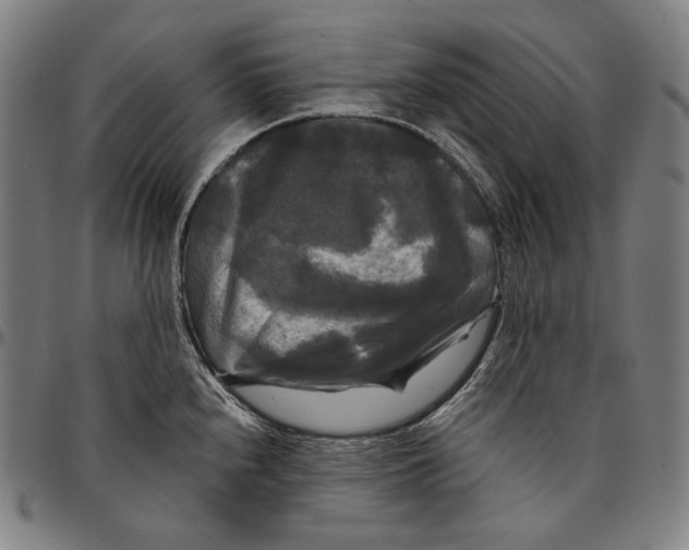 X0000095111240200801041153