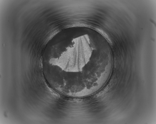 X0000095111241200801041153
